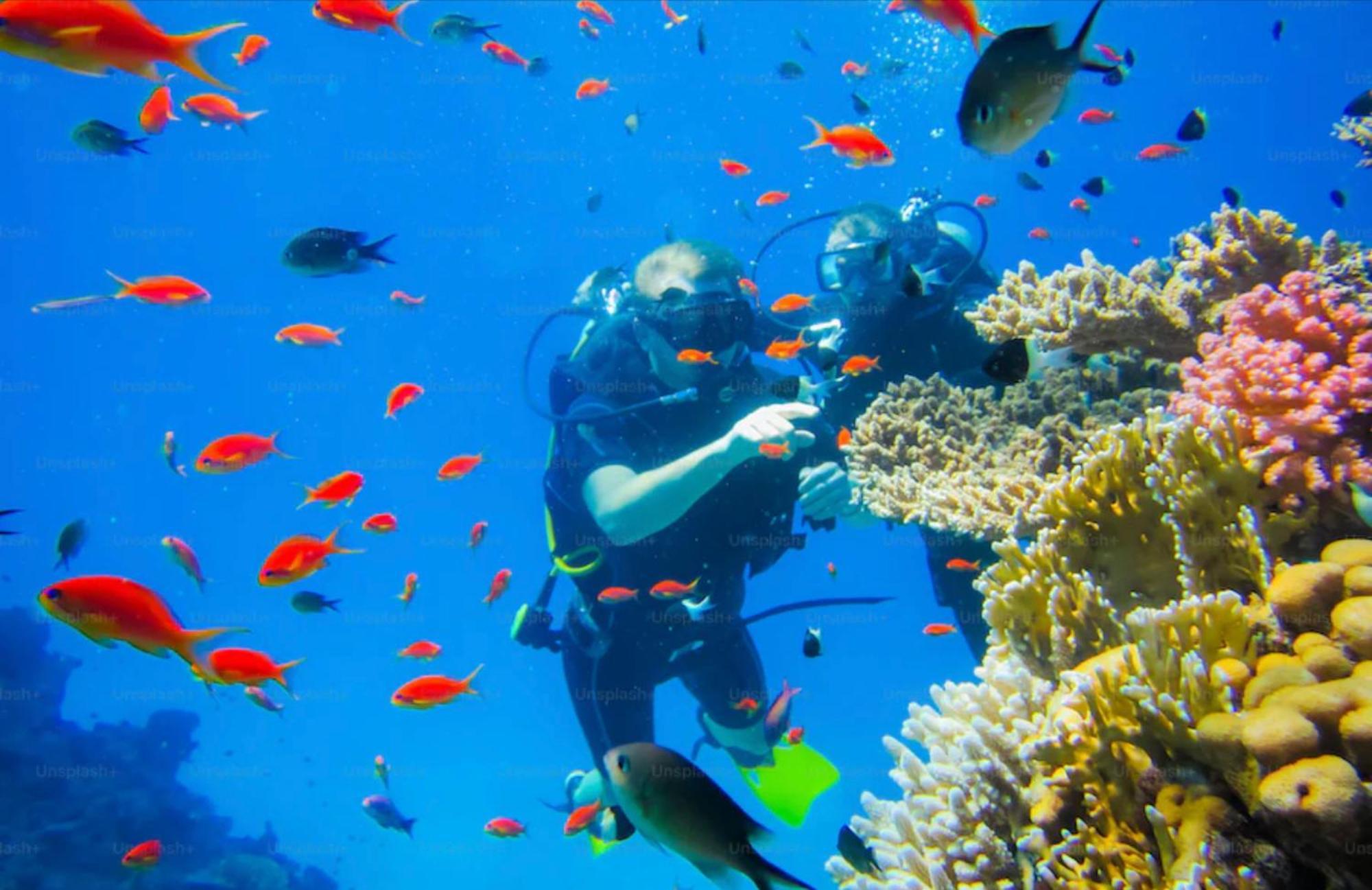 מלון Awang Lobster Bay Lombok מראה חיצוני תמונה